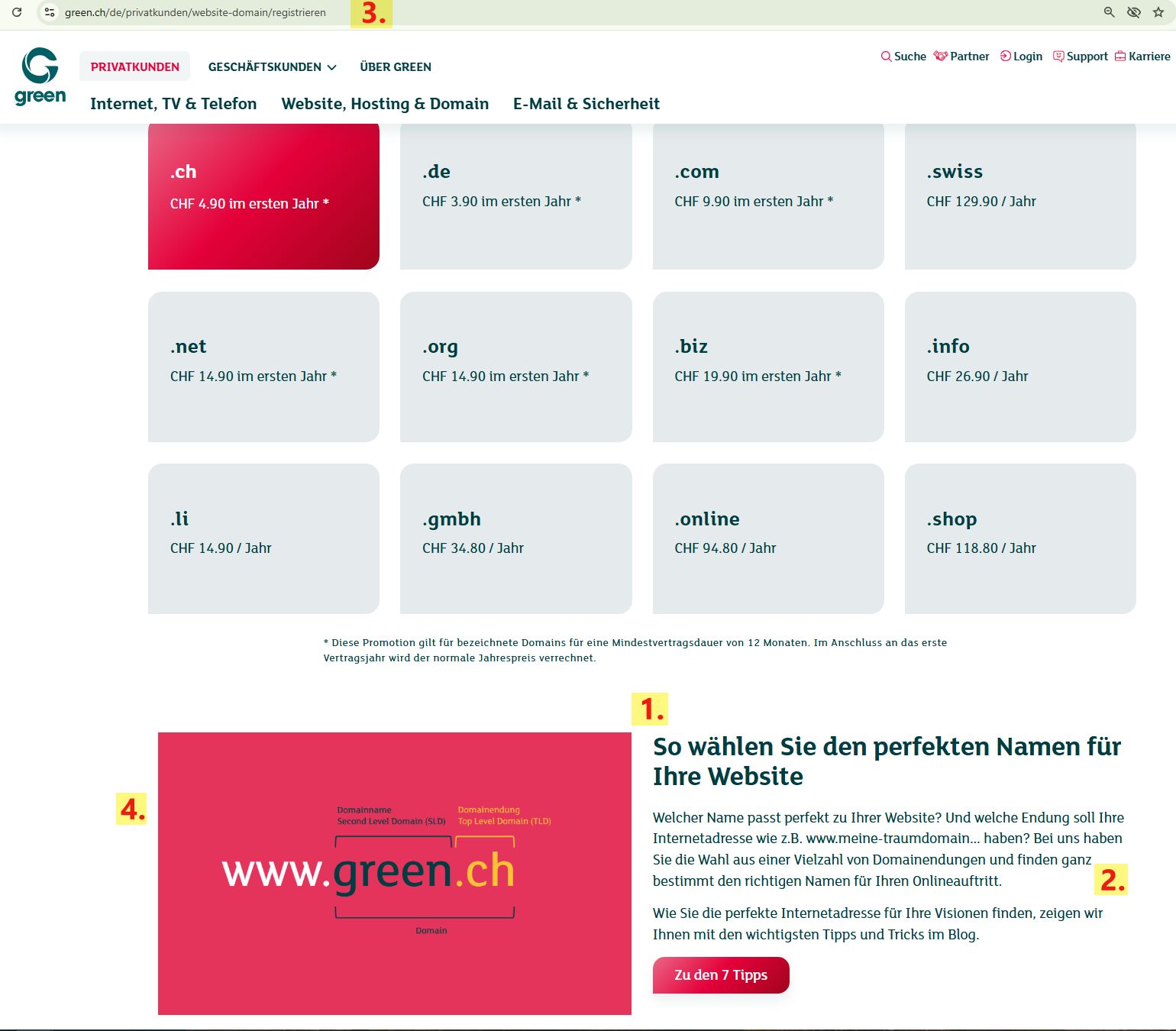 Screenshot einer Website von Green mit Erklärung der Begrifflichkeiten von Überschrift bis Alt-Tag eines Bildes
