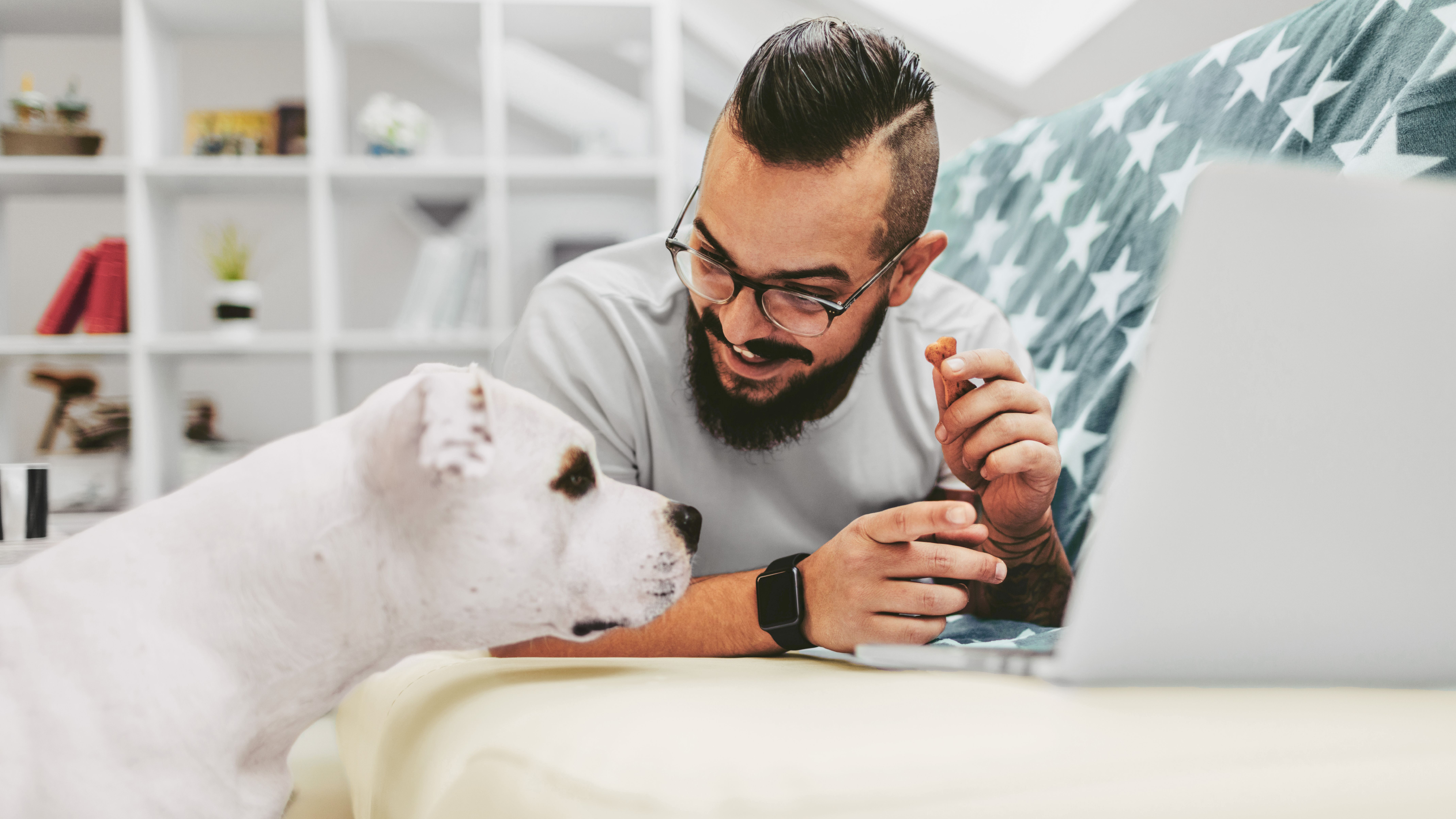 Ein Mann surft im Internet und sein Hund schaut zu.