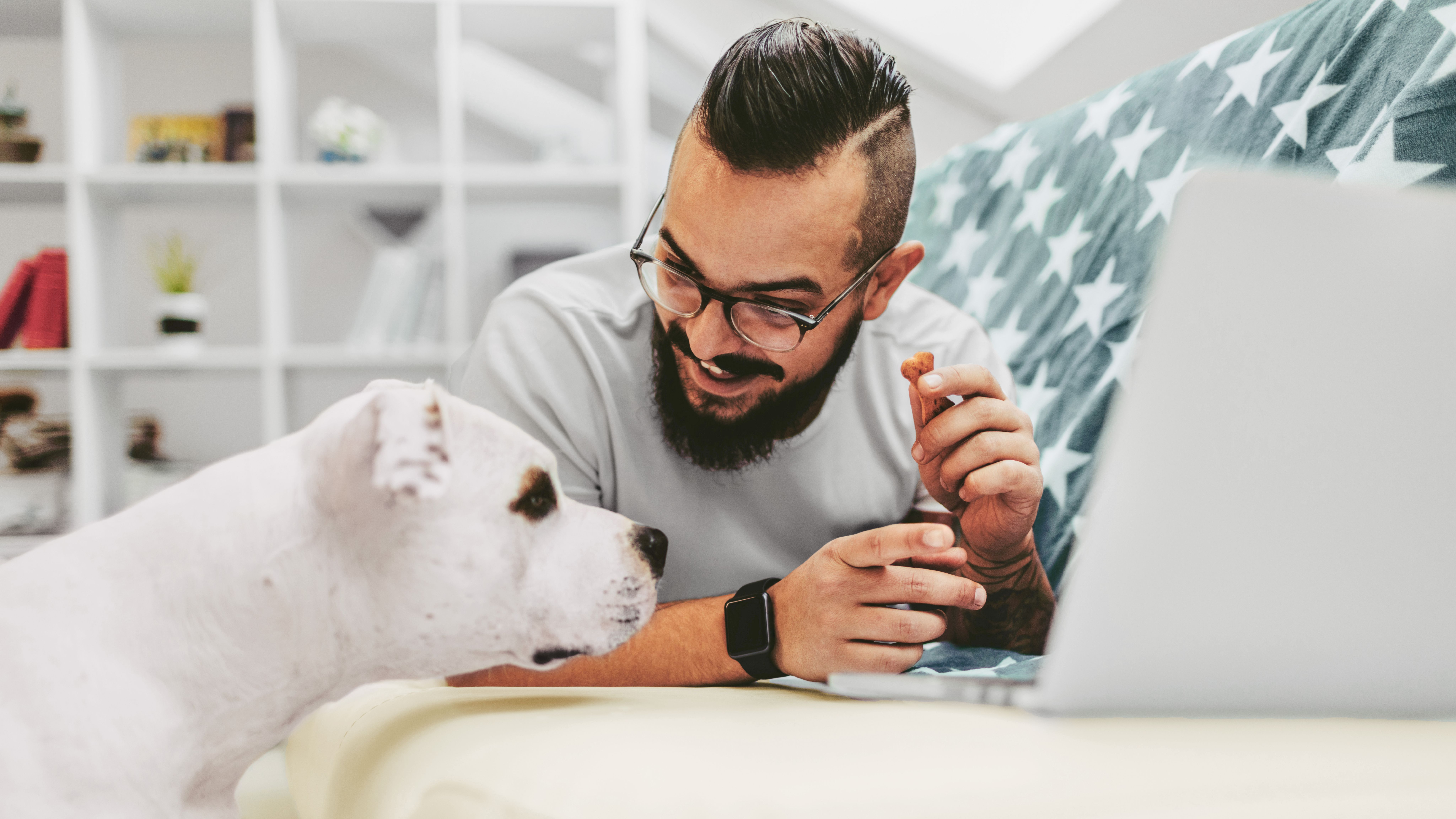 A man surfs the Internet and his dog watches.