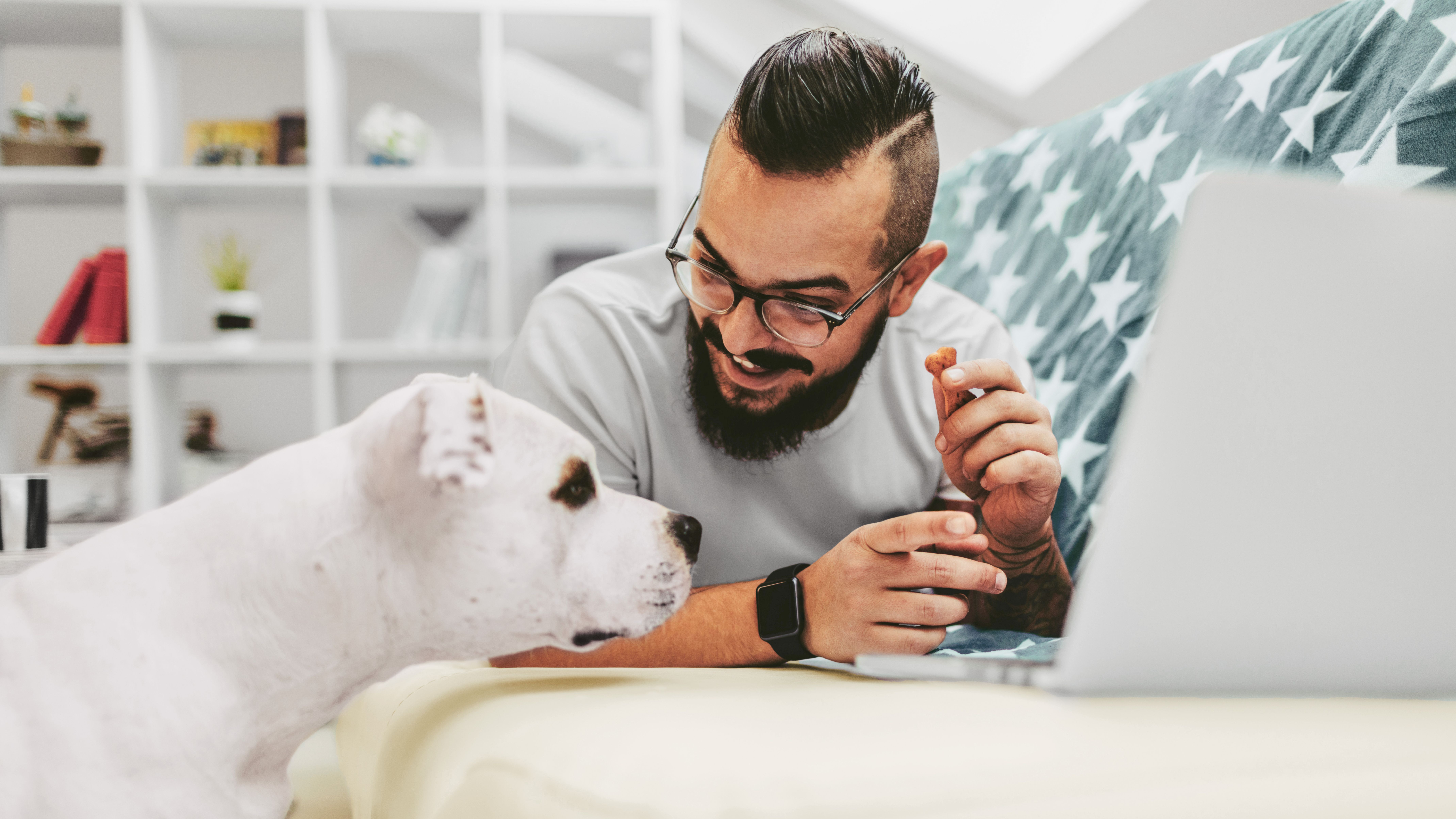 A man surfs the Internet and his dog watches.