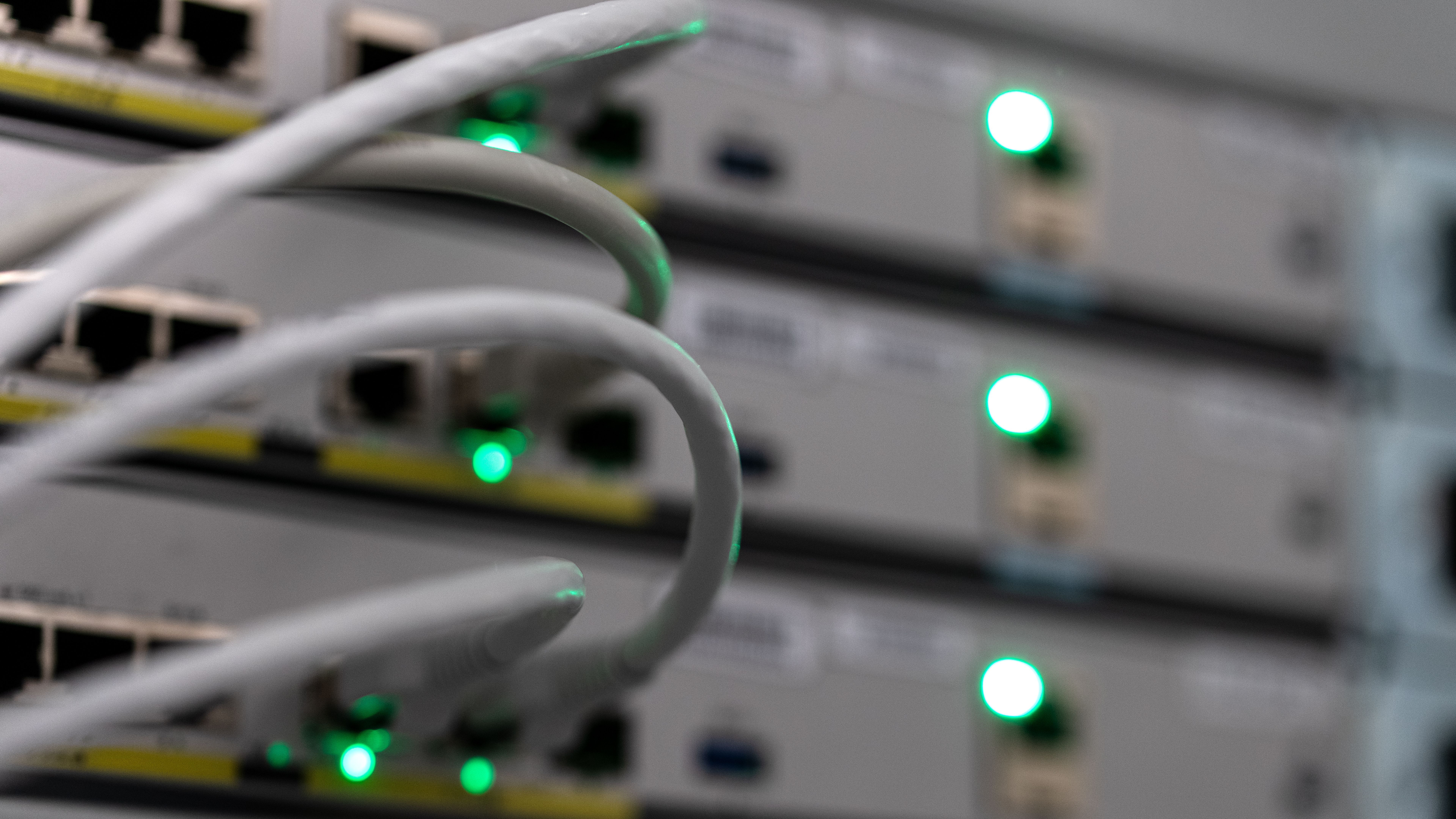 Graue Kabel in einem Server