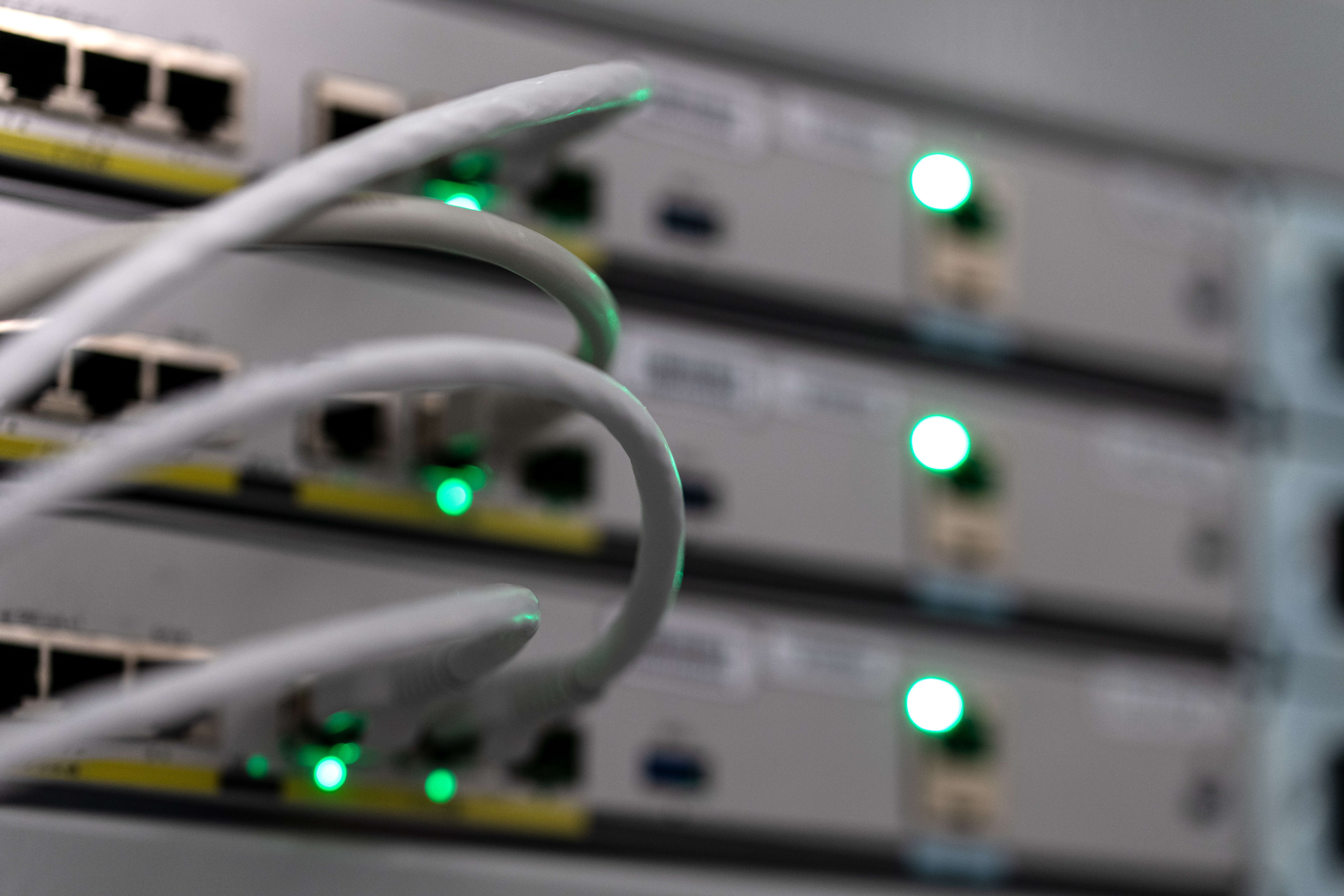 Graue Kabel in einem Server