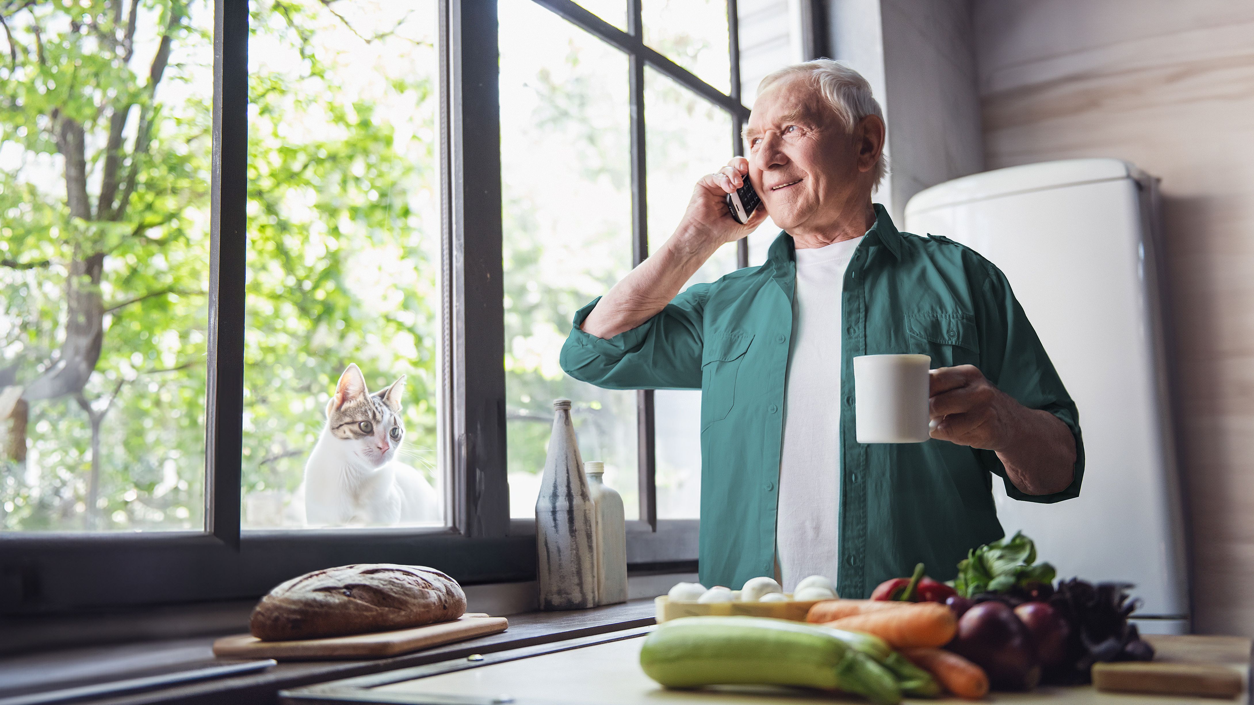 Herr telefoniert mit seinem Festnetztelefon von Green