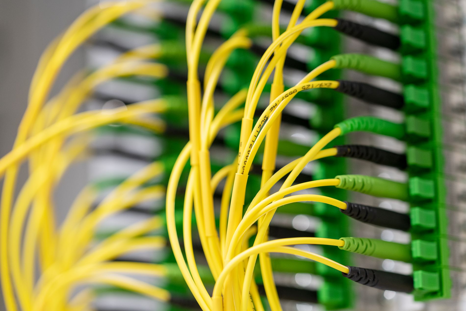 Gelbe, dünne Glasfaserkabel, dicht nebeneinander eingesteckt