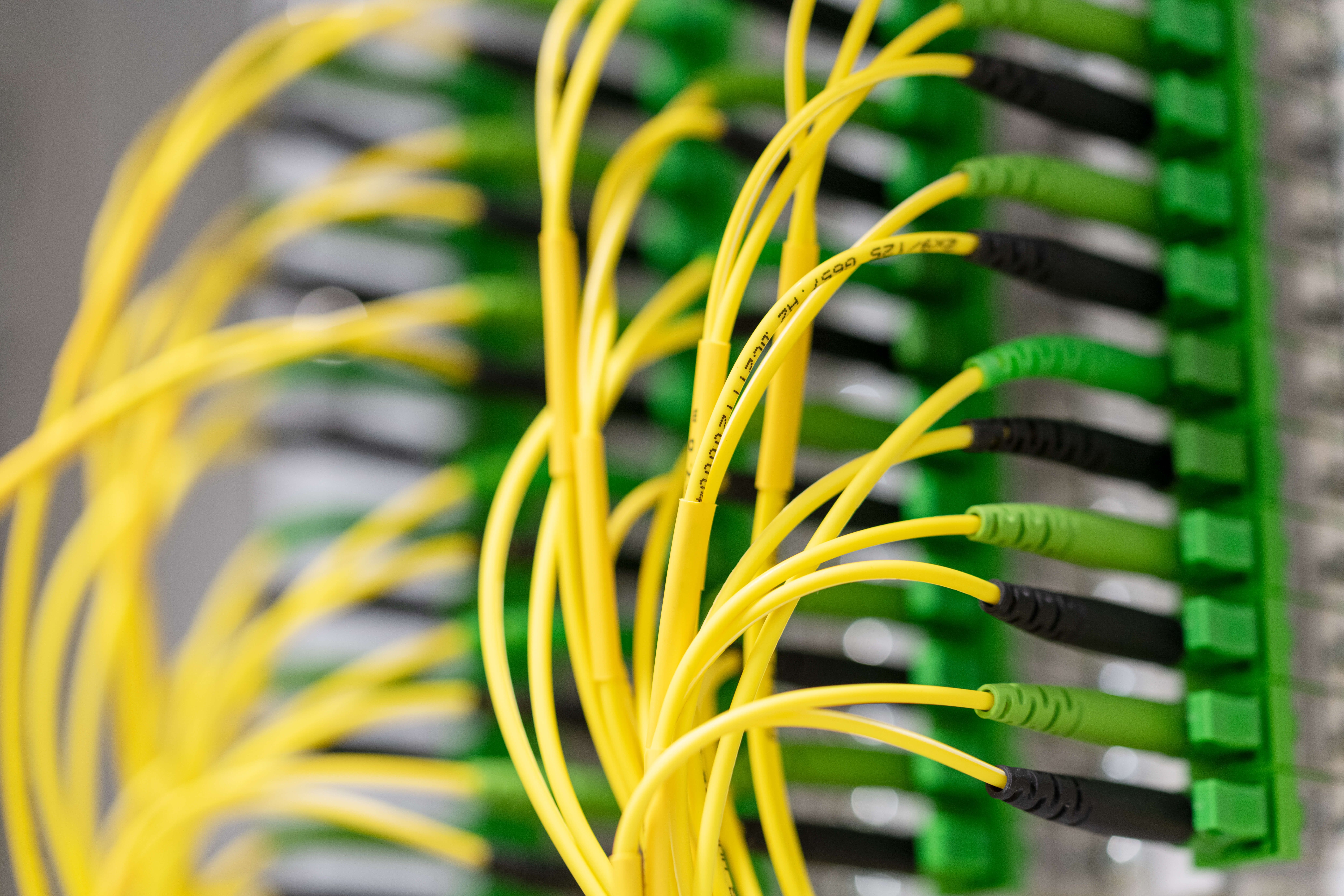 Gelbe, dünne Glasfaserkabel, dicht nebeneinander eingesteckt