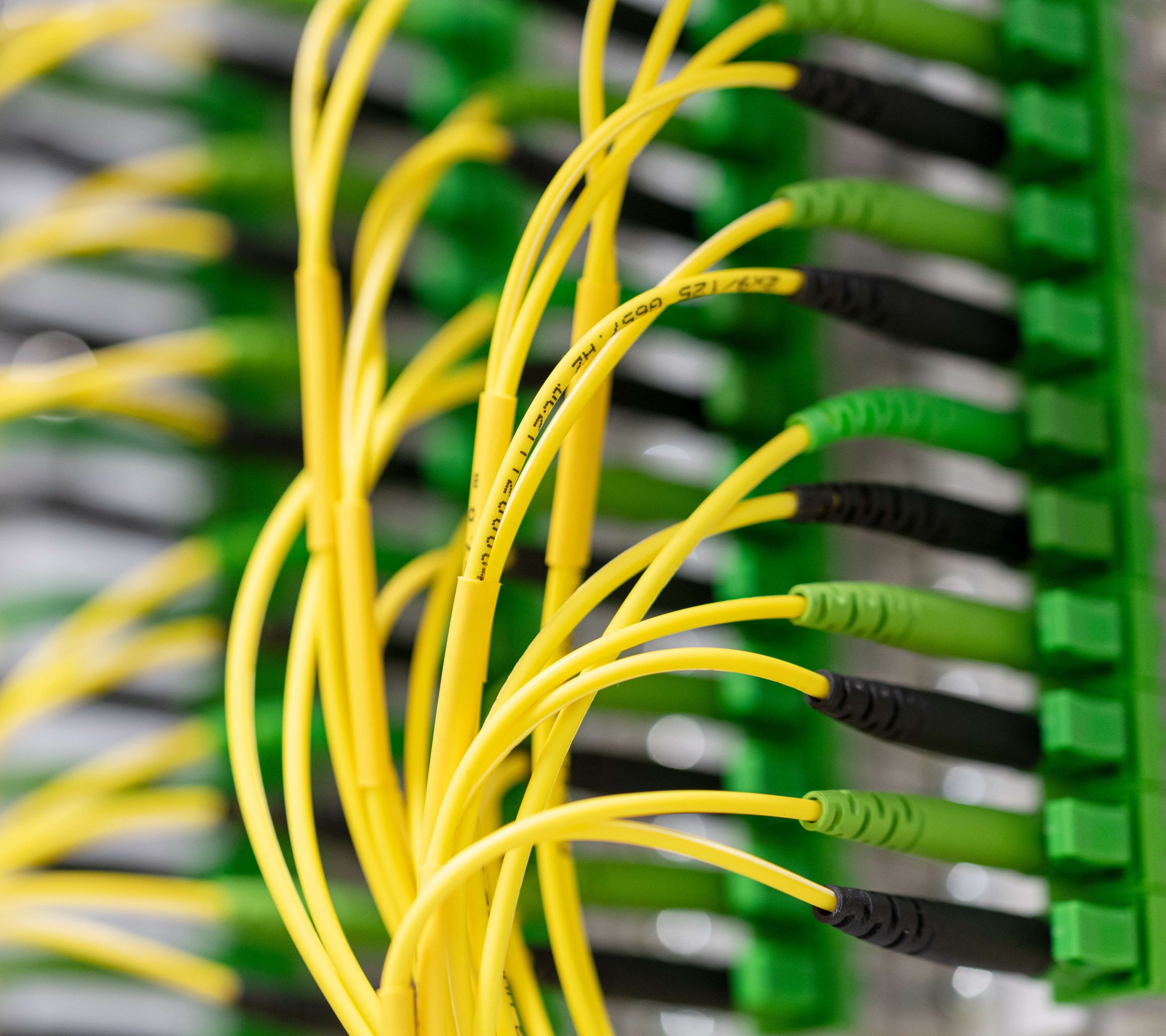 Gelbe, dünne Glasfaserkabel, dicht nebeneinander eingesteckt