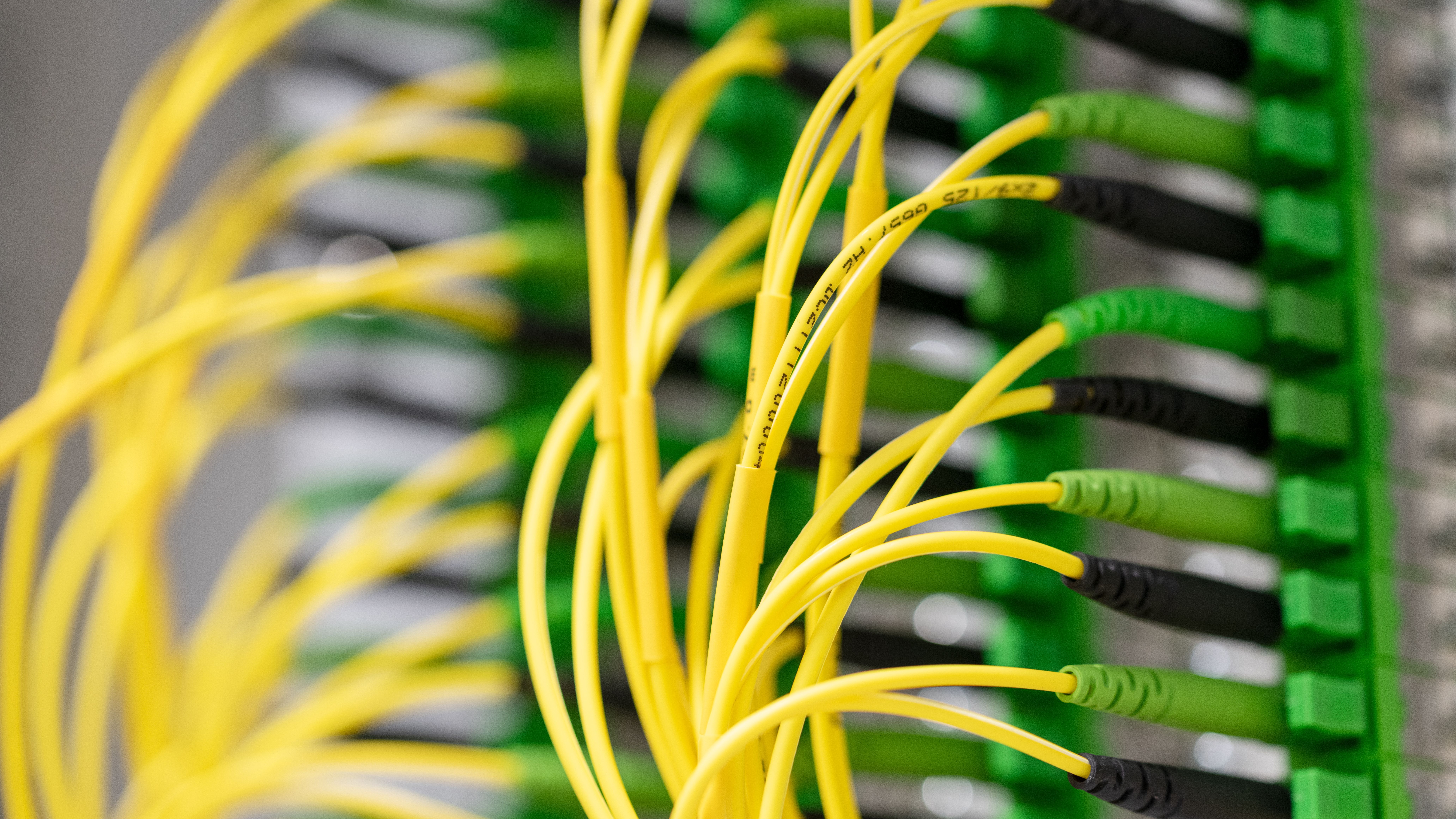 Gelbe, dünne Glasfaserkabel, dicht nebeneinander eingesteckt