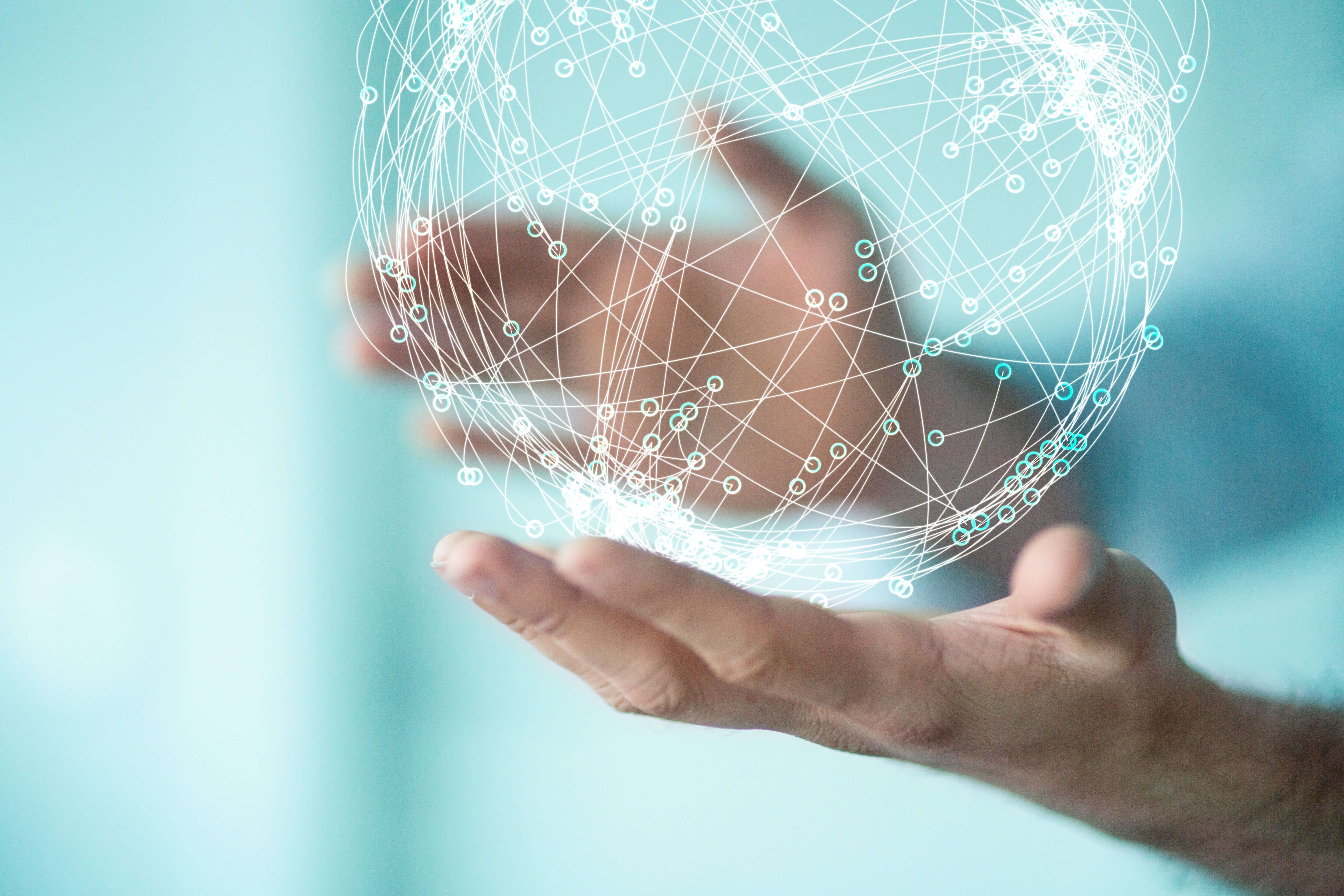 Hands are holding connected world