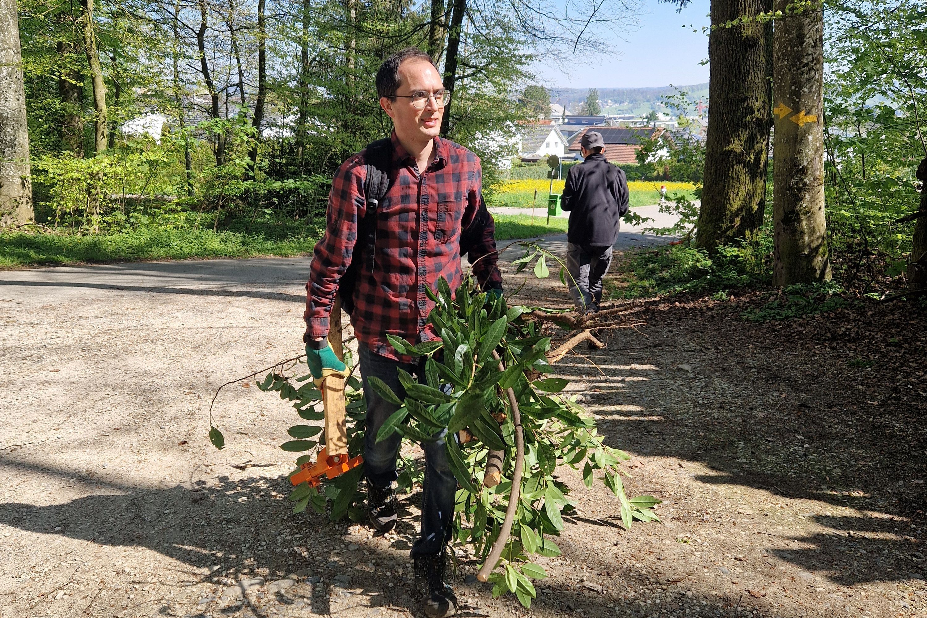 Mitarbeiter von Green an Waldarbeitstag
