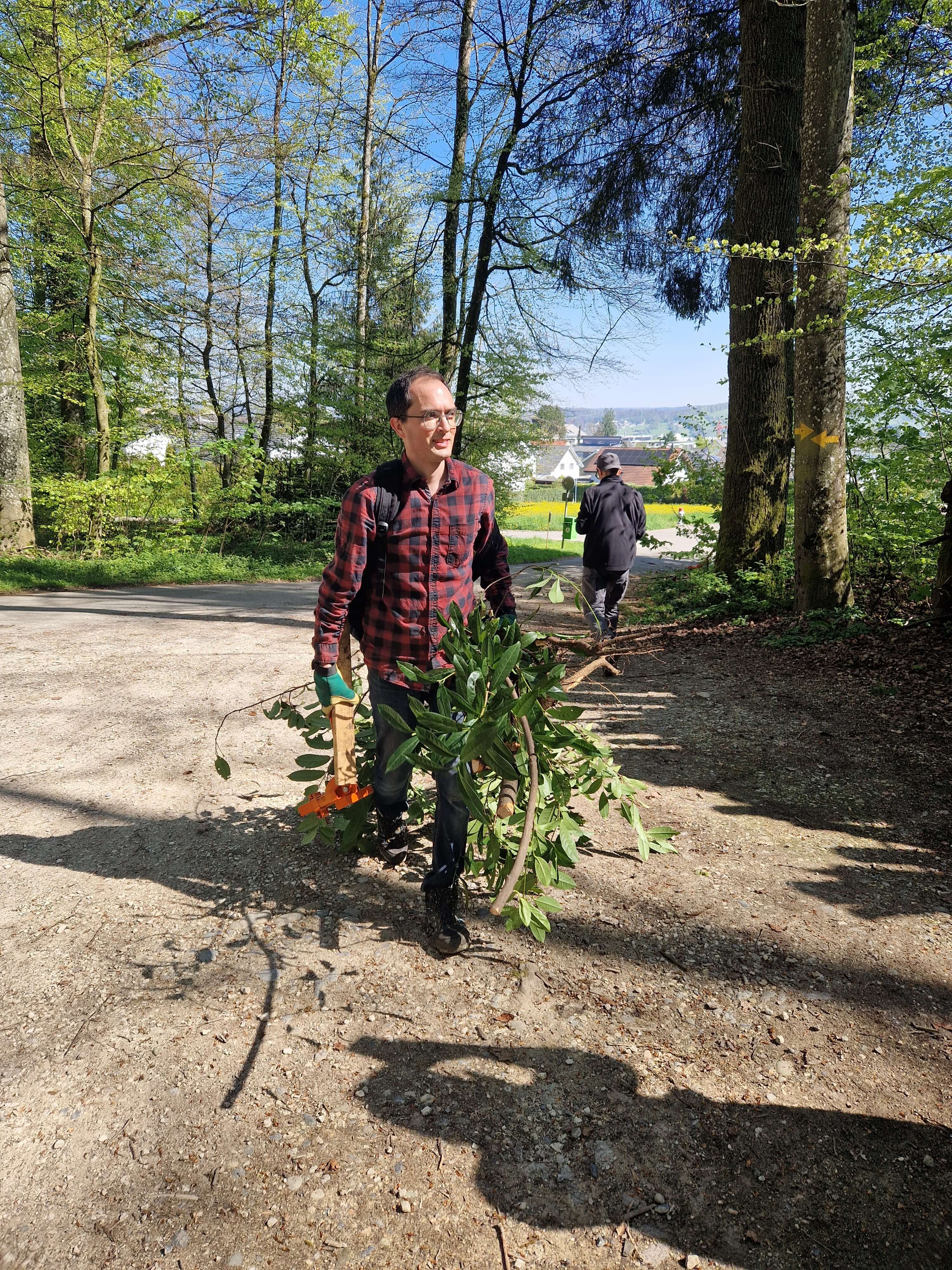 Mitarbeiter von Green an Waldarbeitstag