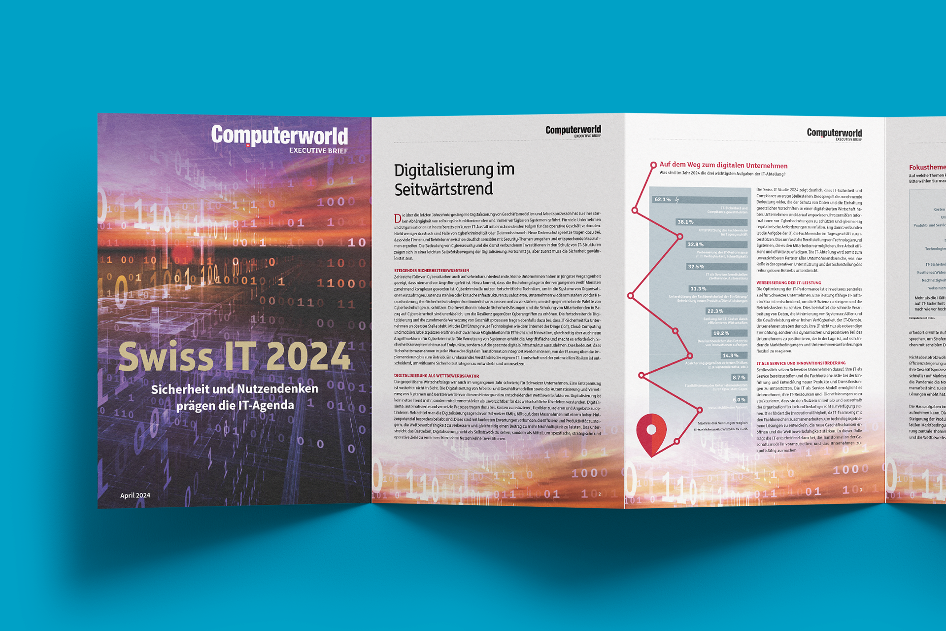 Grafik: Inhalt Swiss IT Studie 2024